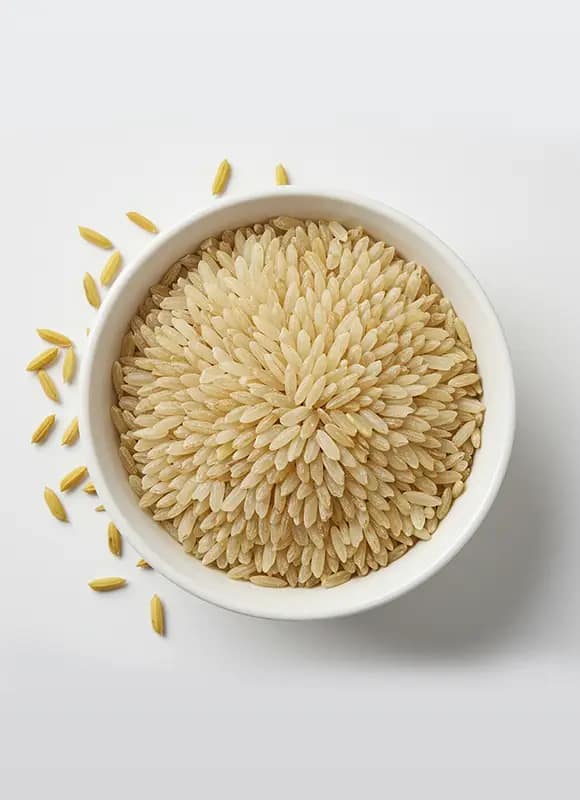 ARROZ YAMANI