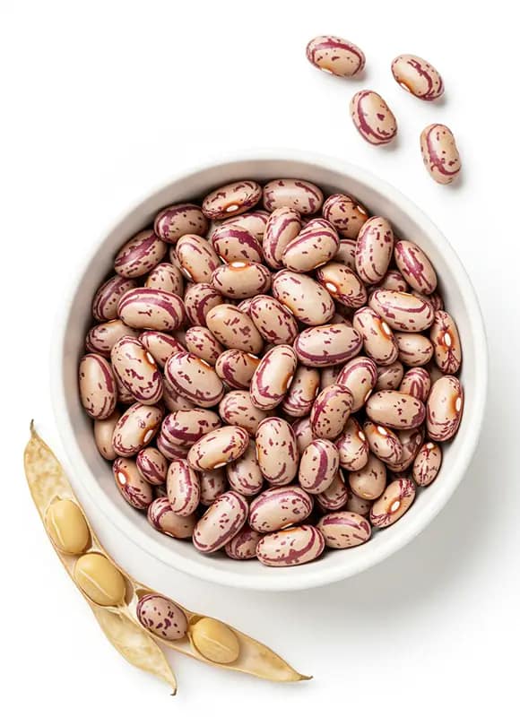 POROTOS CRAMBERRY