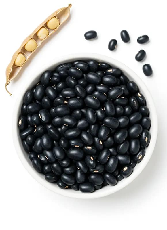 POROTO NEGRO