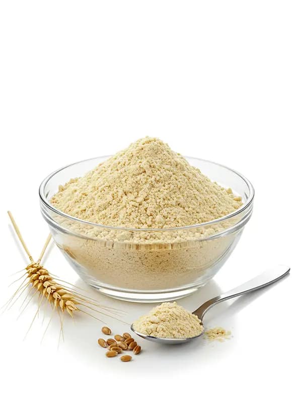 GLUTEN DE TRIGO